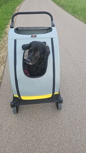 WISFOR Hundebuggy Faltbar, XL Hundewagen für mittelgroße und große Hunde bis 65kg,  Hundeanhänger Hundetasche mit verstellbar Griff Kunden-Foto 11