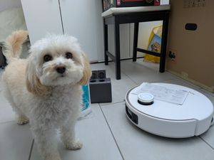 MOVA V50 Ultra Complete Saug- und Wischroboter,Automatische Entleerungsfunktion,24000 Pa,Heißwasserreinigung,DuoSolution, FlexiRise Navigation,Weiß Kunden-Foto 4