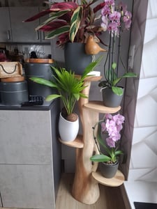 Blumenständer mit 3 Ablagen Blumenpodest Pflanzenständer Pflanzentreppe Blumen Kunden-Foto 1