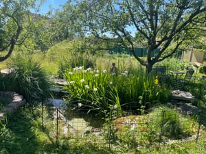 Zaun Teichzaun Steckzaun für Garten 12 Zaunelemente Gartenzaun V2Aox Kunden-Foto 2