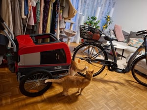 Tiggo VS Pet M Hundefahrradanhänger + Jogger 2 in 1 Hundeanhänger Hundetransporter Fahrradanhänger Kunden-Foto 3
