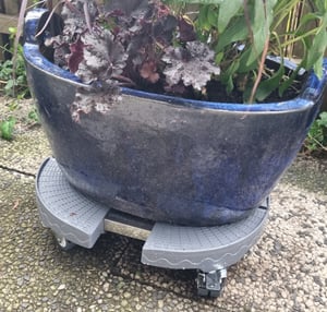 UISEBRT Chariot pour plantes Gris Ø 39-52cm Chariot pour fleurs réglable Trolley pour plantes Extérieur 360 °roues jusqu'à 300 Kg Pour jardin d'intérieur Pot de fleurs Photo du client 2