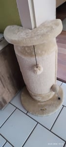 PawHut Kratzstamm, 58cm Kratzsäule für Katzen, Katzenkratzbaum mit Kratzball Kunden-Foto 1