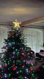 Salcar kerstboom, 210 cm, kunstmatig, dennenboom, Nordmannspar, met houten voet, met 1525 PE-takken en 993 PVC-takken Klantenfoto 2