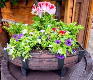 Blumentopf Strend Pro Woodeff, 37,5x30 cm, Walnuss, Holz-Effekt Kunden-Foto 1