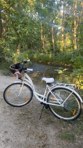 Milord Komfort Fahrrad Mit Weidenkorb Damenfahrrad, 28 Zoll, Rosa, 7 Gang Shimano Kunden-Foto 3