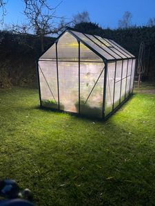2 Stück LED Pflanzenlampe Vollspektrum Sonnenlicht, 50W Led Grow Lampe 312LEDs,Pflanzenlicht Wachstumslampe für Zimmerpflanze Gewächshaus Gemüse Blume Kunden-Foto 4