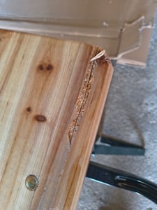 Bierzeltgarnitur mit Lehne 3-teilig mittig klappbar | 1x Tisch, 2x Bierbank mit Rückenlehne | HxBxT 76x170x69 cm | lackiertes Holz | Biertischgarnitur Festzeltgarnitur Gartenmöbel-Set Kunden-Foto 2
