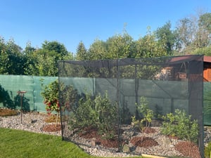 COSTWAY Pflanzenschutzzelt, stabiles Gartenpflanzenzelt mit Metallrahmen, 6 Metall-Erdnägeln, Rolltor&Tragtasche, Schutzzelt für Gemüse 310x200x200 cm Kunden-Foto 2