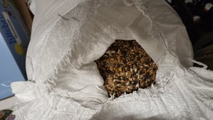 POSH Wildvogelfutter 25 kg – Premium 4-Jahreszeiten Mischung Kunden-Foto 2