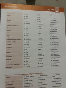 Begegnungen Deutsch als Fremdsprache A2+: Integriertes Kurs- und Arbeitsbuch Foto del cliente 1