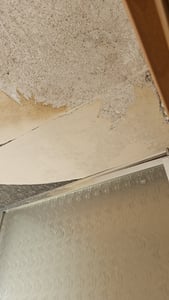 Schimmelentferner - 1000ml - Zum schnellen und gründlichen Entfernen von Schimmel, Grünbelägen, Stockflecken, Bakterien und Algen. Kunden-Foto 1