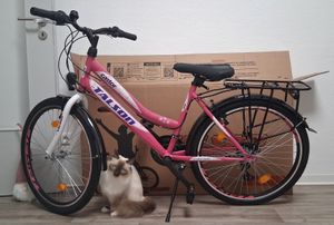 26 Zoll Fahrrad 21-Gang Shimano Schaltung mit Beleuchtung nach STVO Türkis Doppelrahmen Kunden-Foto 1