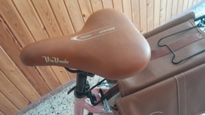 Via Veneto by Canellini Fahrrad Citybike Frau Aluminium mit Korb und Tasche - Olivgrün 46 Kunden-Foto 12