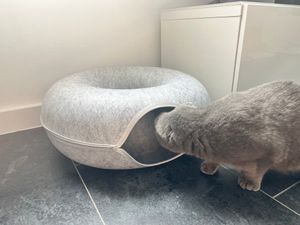 Sehr schön für unsere Katze!