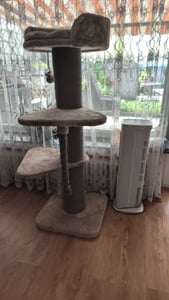 HAPPYPET Premium Kratzbaum Grosse Katzen Stabil 'Freddy' – 150 cm Großer Katzenbaum, Kletterbaum für Maine Coon, 20 cm Dicke Stämme - creme Kunden-Foto 5