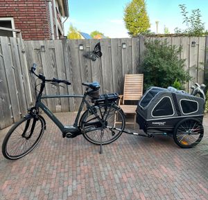 Doggyhut S-Line XXL Hundeanhänger & Hundebuggy mit Federung 2 in 1 Hunde Fahrradanhänger Jogger gefedert bis 45 kg Kunden-Foto 3