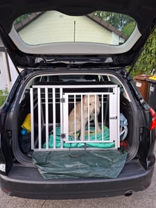 EUGAD Hundetransportbox Alubox für mittlere Hunde, B92x H66 x T65 cm, schwarz Kunden-Foto 1