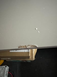 RODAN | Szafka pod umywalkę Kaszmir 60 cm - Blat biały marmur - 2 szuflady - Wisząca - Fronty MDF - MODERN Zdjęcie produktu od klienta nr 4