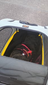 WISFOR Hundebuggy Faltbar, XL Hundewagen für mittelgroße und große Hunde bis 65kg,  Hundeanhänger Hundetasche mit verstellbar Griff Kunden-Foto 12