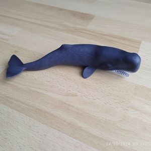 für Naturliebhaber 