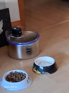 Catit Pixi Edelstahl Brunnen Silber One Size / EU Plug 220V Silber One Size Kunden-Foto 3