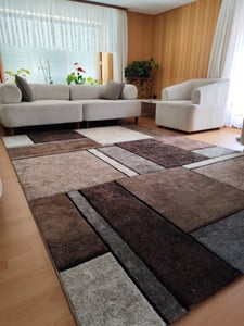 TT Home Wohnzimmer Teppich Kurzflor Wohnzimmerteppich Abstraktes Design Geometrisches Design Used Look Modern Größe 120x170 cm Kunden-Foto 2