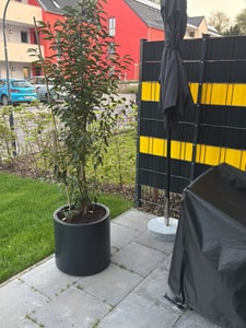 Blumentopf für draußen mit Einsatz anthrazit HEOS BHER470-S433 Kunden-Foto 1