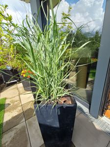 NABBI Blumentopf aus Kunststoff DURS265E 26,5 cm - Anthrazit Kunden-Foto 2