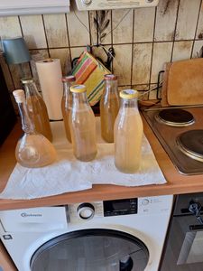 Grafner® XXL Edelstahl Dampfentsafter 8 Liter mit Schlauch + Klemme Fruchtentsafter Kunden-Foto 2