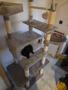 FEANDREA škrabadlo, XXL kočičí strom, 164 cm, světle šedá PCT087W01 Fotografie od zákazníka č. 33