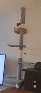 Yaheetech Kratzbaum Katzenbaum 226cm-265cm deckenhoch, höhenverstellbar, mit Sisalstämmen, Dunkelgrau Kunden-Foto 1