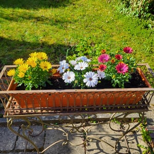 Plastard Blumenkasten 80 cm Terrakotta, Pflanzkasten, Balkonkasten Kunden-Foto 1