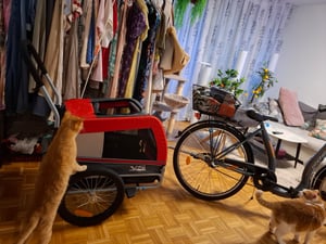 Tiggo VS Pet M Hundefahrradanhänger + Jogger 2 in 1 Hundeanhänger Hundetransporter Fahrradanhänger Kunden-Foto 2