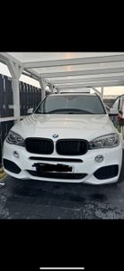Sport Kühlergrill Doppelsteg Performance Glanz passend für BMW X2 F39 ab 18 Kunden-Foto 1