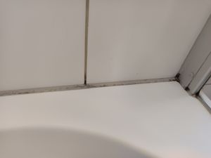 AGO 500ml Schimmelentferner mit Pinsel & Handschuhen – stärker als herkömmliche Sprühreiniger/hochkonzentriertes Anti Schimmel Mittel Kunden-Foto 3