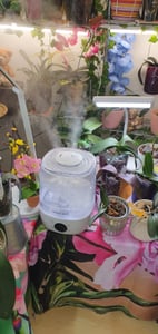 Luftbefeuchter Auto Quiet Mode für Baby, 4L Ultraschall Cool Mist Luftbefeuchter 4 l Wassertank, Aroma-Diffusor, dauert bis zu 30H, Auto-Timer Off, BPA frei Kunden-Foto 1