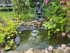 Wiltec Edelstahl Springbrunnenpumpe 50 W 1750 l/h, max. Fontänenhöhe 1,6 m, Teichpumpe inkl. 3 Aufsätze für verschiedene Fontänen, Aquariumpumpe Kunden-Foto 1