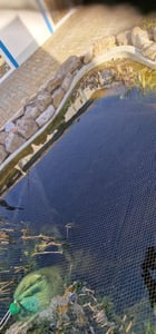 Lawana Algen Stopp, 1 kg - Bekämpft Fadenalgen und grünes Wasser auf natürliche Weise. Beugt Algenwuchs vor. Kunden-Foto 3