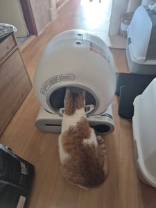 Flieks Katzentoilette Katzenklo mit Selbstreinigung, Elektische Katzentoilette mit Deckel für Katzen, Katzentoilette mit App-Steuerung, 2.4G WiFi, 65L Kunden-Foto 1