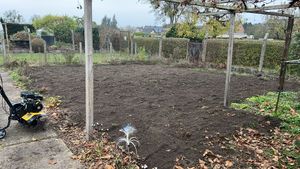 TEXAS Benzin Gartenfräse Motorhacke Bodenhacke Lilli 365TG Set mit Pflug + Räder Kunden-Foto 1