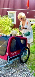 DOGGYHUT® Premium LARGE Hundefahrradanhänger  15 - 30kg Hundeanhänger Fahrradanhänger für Hunde mittelgroße bis große Hunde Kunden-Foto 3