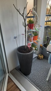nabbi Hoher Kunststoff-Pflanzkübel DPSP400 39 cm - weiß Kunden-Foto 2