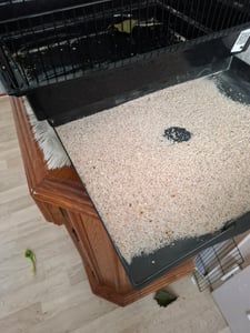 Gabbia per uccelli VEVOR, 45,7x35,5x151 cm, voliera per uccelli con piano aperto e supporto, gabbia per uccelli in acciaio con vassoio rimovibile, gabbia per pappagalli Foto del cliente 1