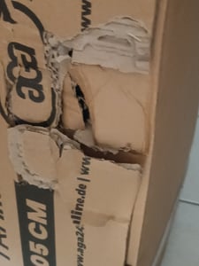 Aga SPORT EXCLUSIVE Trampolina 305 cm Czarna + siatka zabezpieczająca + drabinka Zdjęcie produktu od klienta nr 9