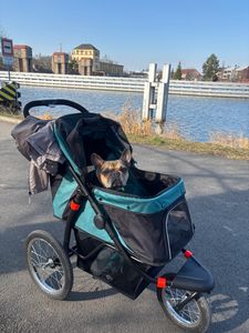 PawHut Hundebuggy mit Reflektoren, Faltbarer Katzenbuggy für Kleine Mittle Hunde Kunden-Foto 5