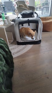 LOVPET® : Cage de transport pour chien, pliable. Inclut un bol pour chien, une sacoche de transport et une sacoche pour chien. Cage de transport pour animaux de compagnie, chiens et chats Photo du client 2