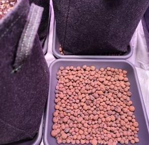 Gronest Stofftopf, schwarz, 11 l | Blumentopf Kunden-Foto 1