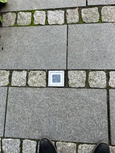 MeLiTec 3er Set - LED Solar Bodenleuchte SEL05 – Einbauleuchte für Pflastersteine, IP67, bis 750 kg, Edelstahl matt gebürstet, inkl. Akku Kunden-Foto 1