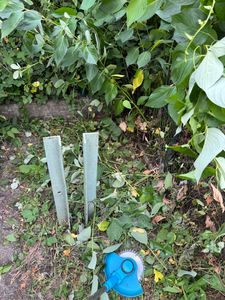 Unkrautbürste für Rasentrimmer mit M10 x 1,50 mm Gewinde, 4 Zoll Stahlbürste Wildkrautbürste, Drahtbürste für Freischneider & Motorsense Kunden-Foto 3